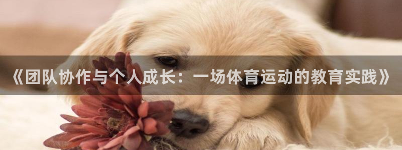 欧亿体育官方正版app娱乐下载:《团队协作与个人成长:一场体