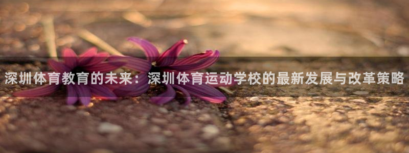欧亿体育官方正版app官方:深圳体育教育的未来:深圳体育运动