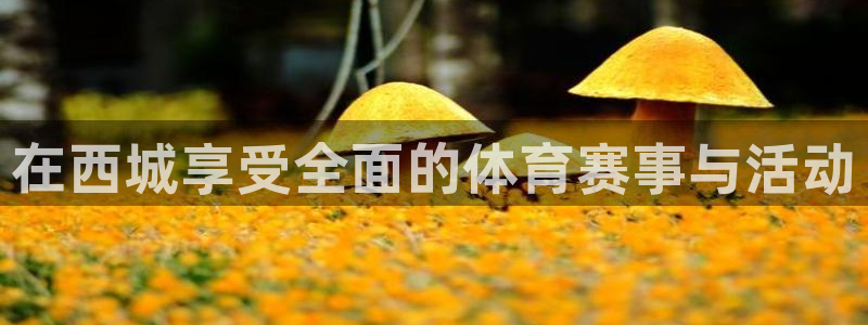 欧亿体育官方正版app集团官网首页网址:在西城享受全面的体育