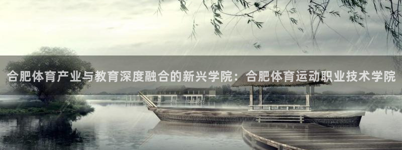 欧亿体育官方正版app集团E.ON:合肥体育产业与教育深度融