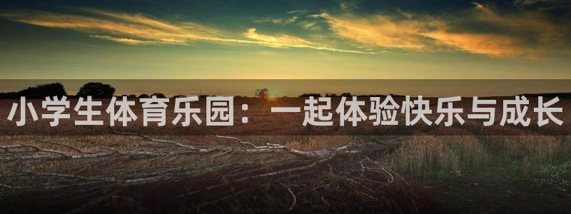 oety欧亿体育官网下载软件:小学生体育乐园:一起体验快乐与