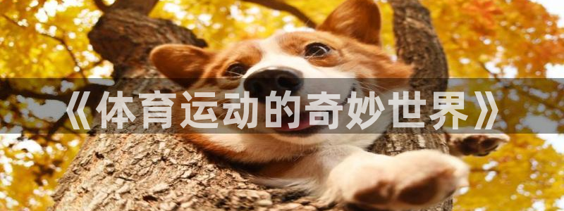 oety欧亿体育官网下载官方客服电话:《体育运动的奇妙世界》